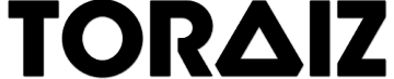 Поддержка TORAIZ SP-16